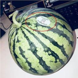 最近网红吃瓜是怎么回事,揭秘近期热门事件背后的真相  第1张